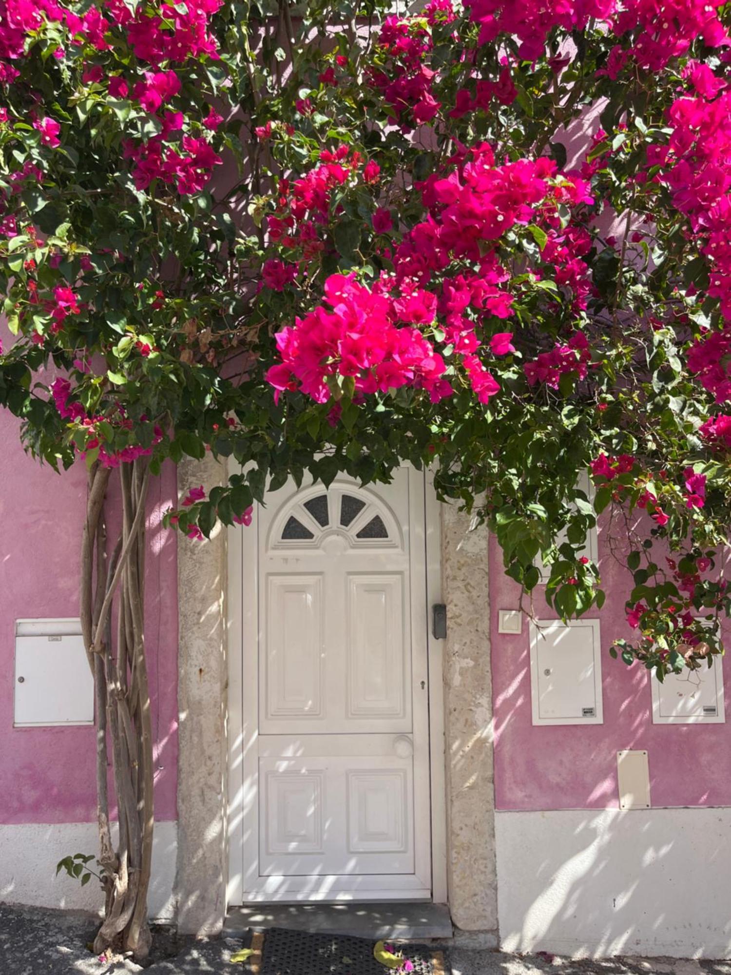 Casa Cor De Rosa Apartment ลิสบอน ภายนอก รูปภาพ